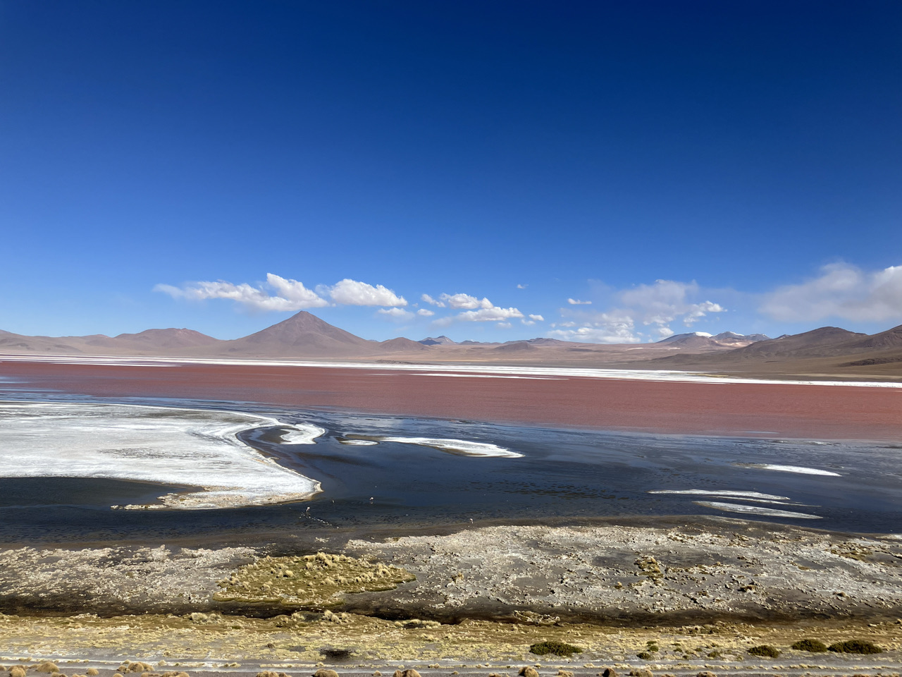carnets et photos de voyage Bolivie - etape route des lagunes : Laguna Colorada