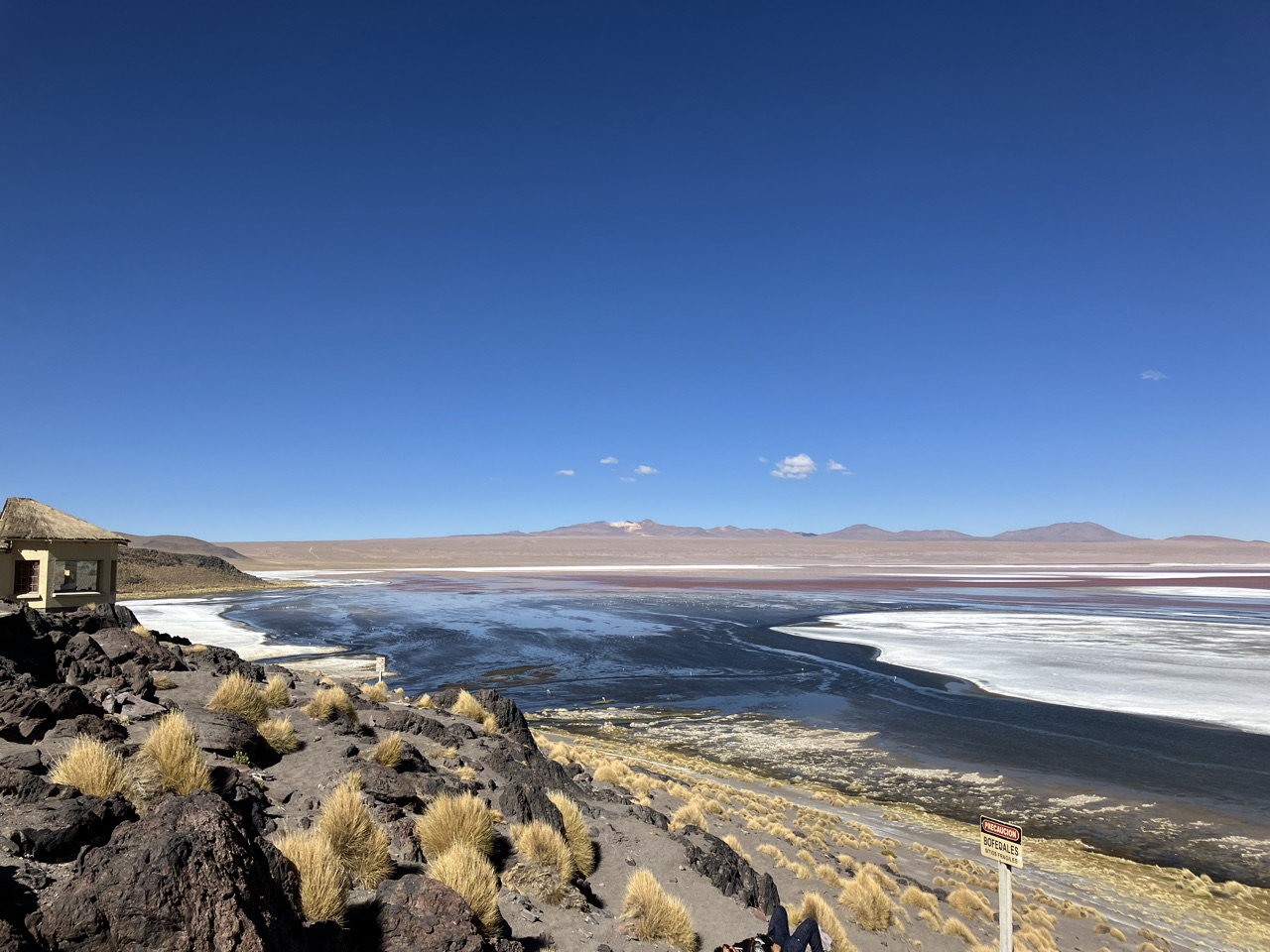 carnets et photos de voyage Bolivie - etape route des lagunes : Laguna Colorada