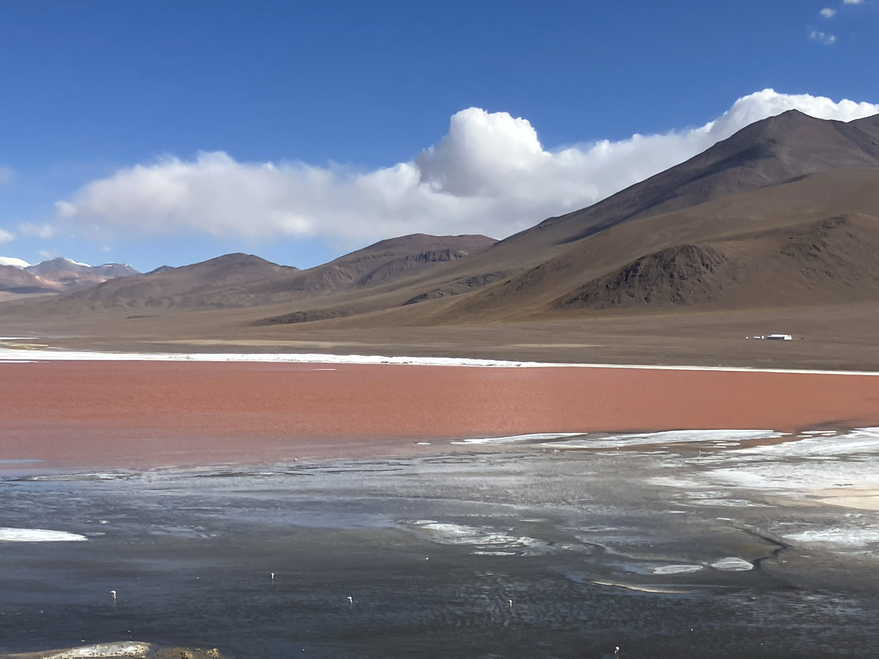 carnets et photos de voyage Bolivie - etape route des lagunes : Laguna Colorada