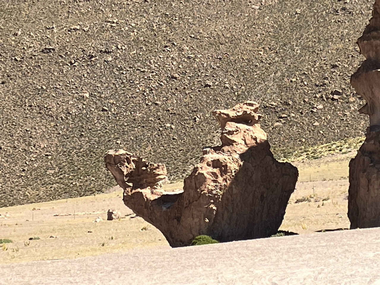 Carnets et photos de voyage Bolivie - Merveilles du sud Lipes - Desierto Salvador Dali