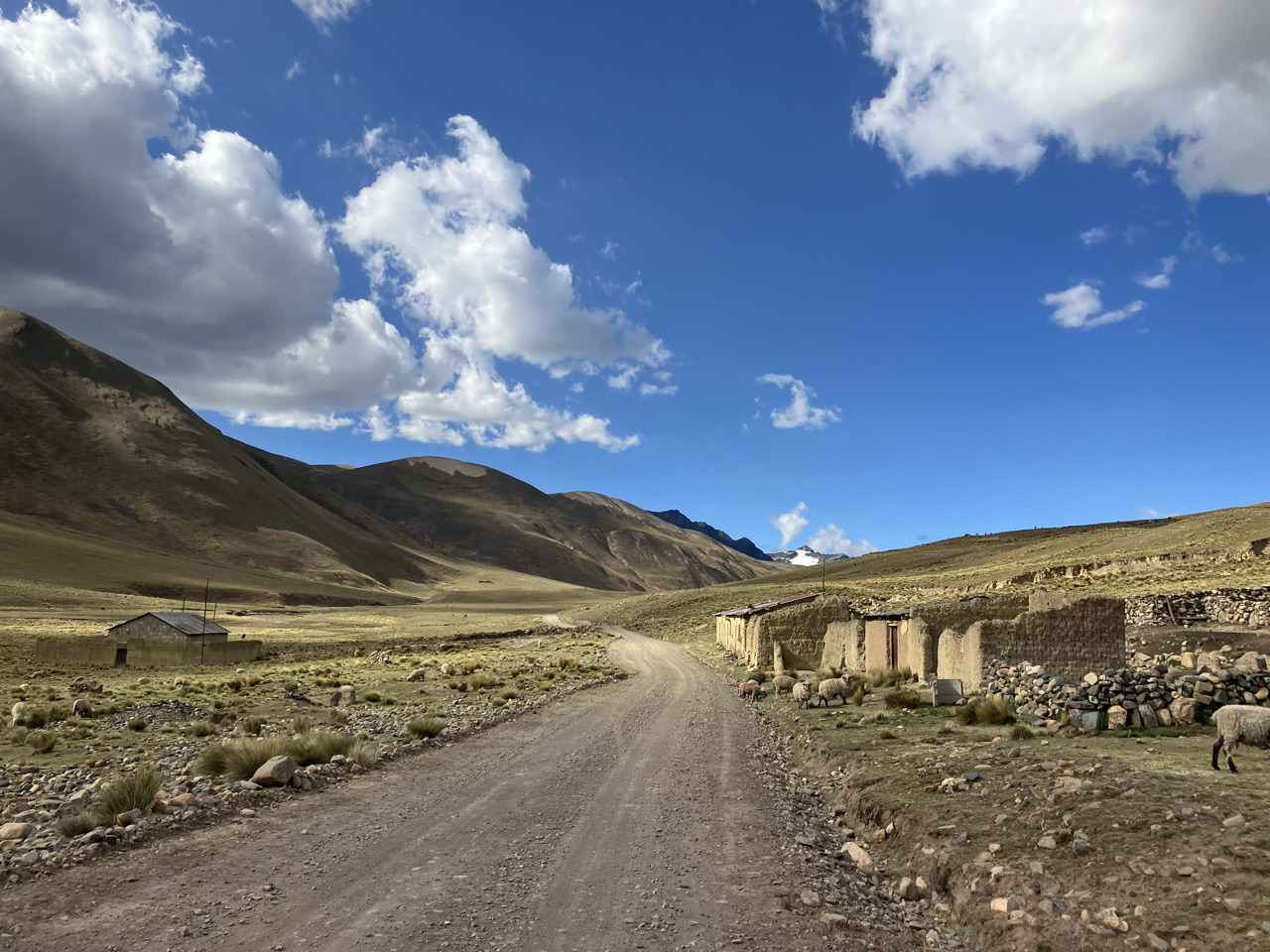 Carnets et photos de voyage Bolivie - Etape 14 la route des incas - Tuni et la maison Andres