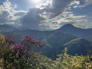 Carnets et photos de voyage Bolivie - etape 19, Les Yungas à La Paz-