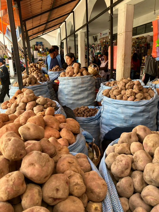 Carnets et photos de voyage Bolivie - etape Sucre - la ville