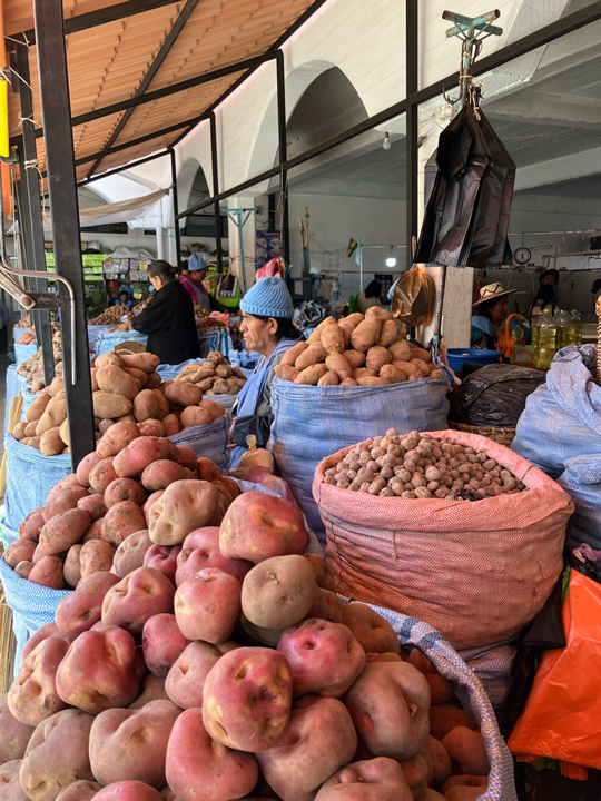 Carnets et photos de voyage Bolivie - etape Sucre - la ville