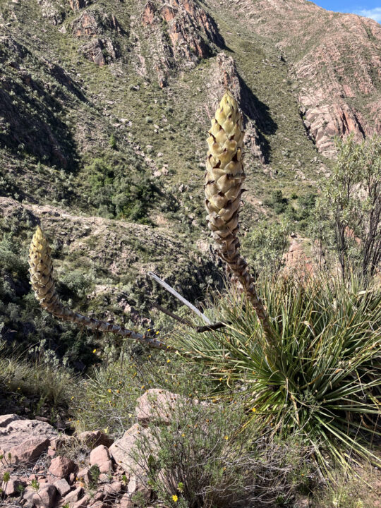 Carnets et photos de voyage Bolivie - etape cratere de Maragua -