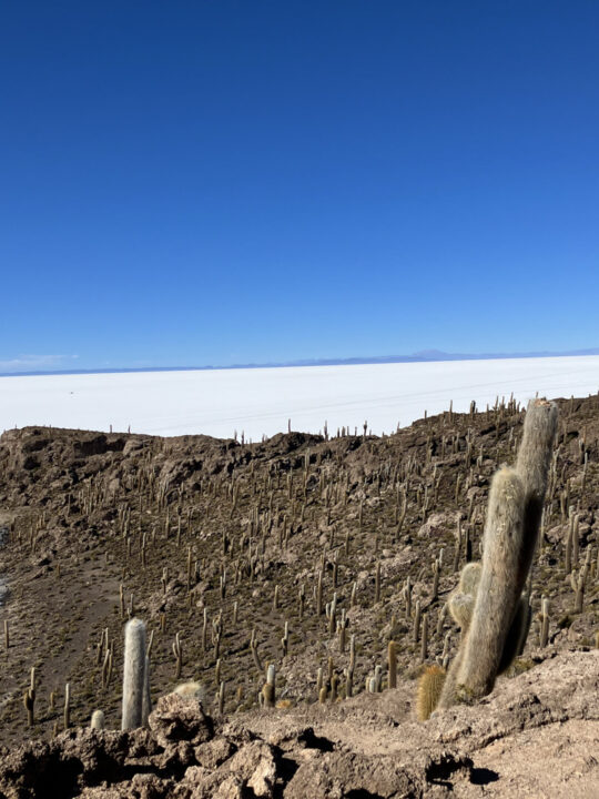 Carnets et photos de voyage Bolivie - etape traversée du Salar d'Uyuni