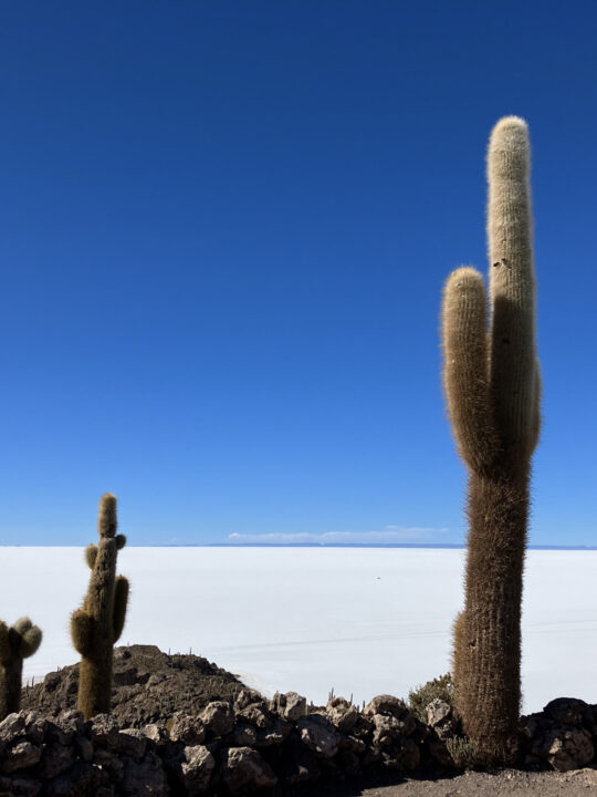 Carnets et photos de voyage Bolivie - etape traversée du Salar d'Uyuni