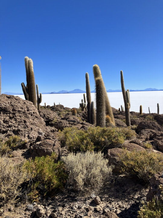 Carnets et photos de voyage Bolivie - etape traversée du Salar d'Uyuni