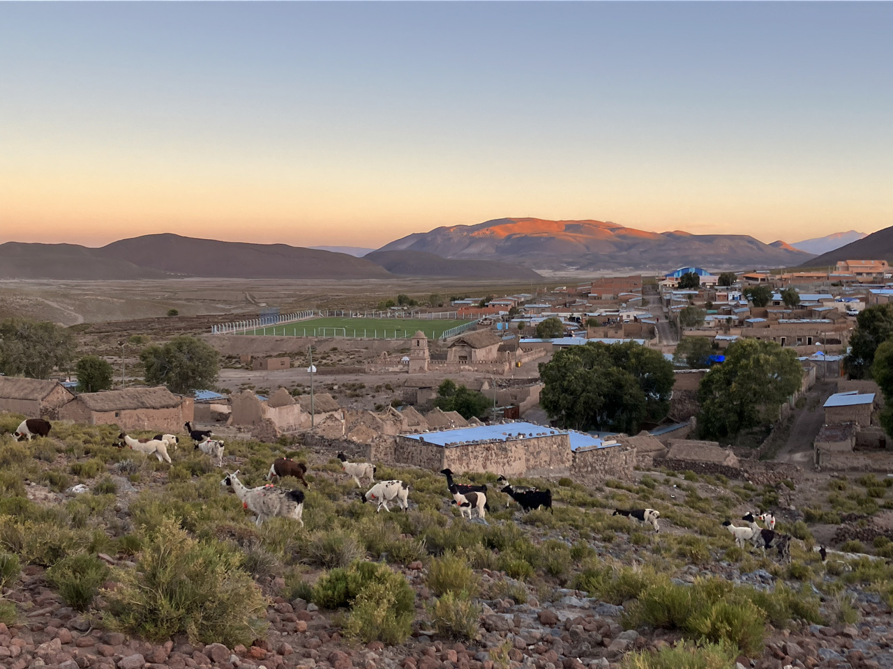 Carnets et photos de voyage Bolivie - Immersion communauté Quechua à Santiago K