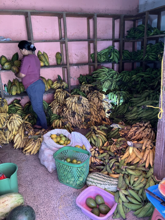Carnets et photos de voyage Bolivie - Etape 16 sur les chemins de la coca : les fruits et légumes