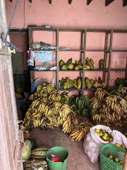 Carnets et photos de voyage Bolivie - Etape 16 sur les chemins de la coca : les fruits et légumes