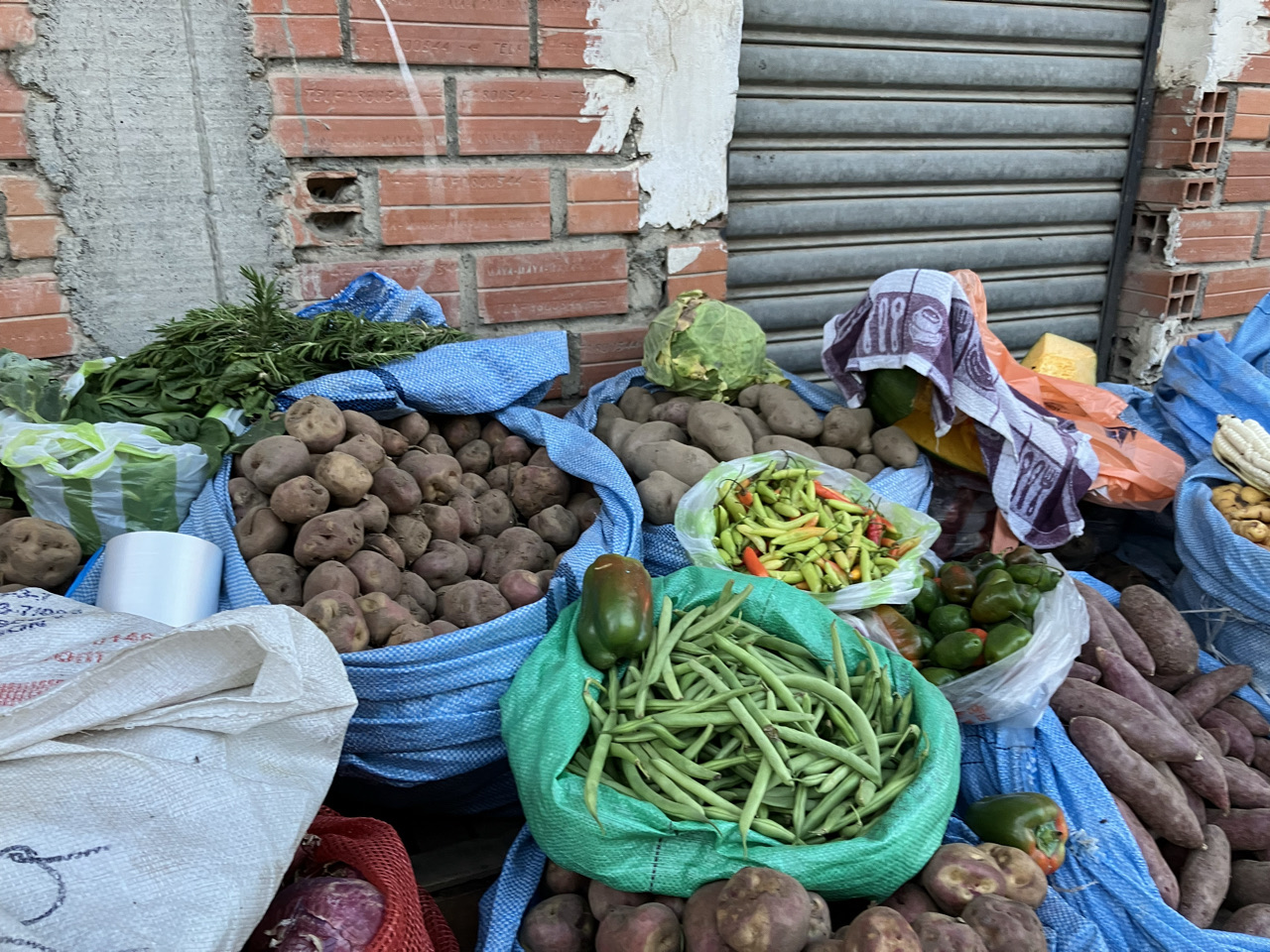 Carnets et photos de voyage Bolivie - Etape 16 sur les chemins de la coca : les fruits et légumes