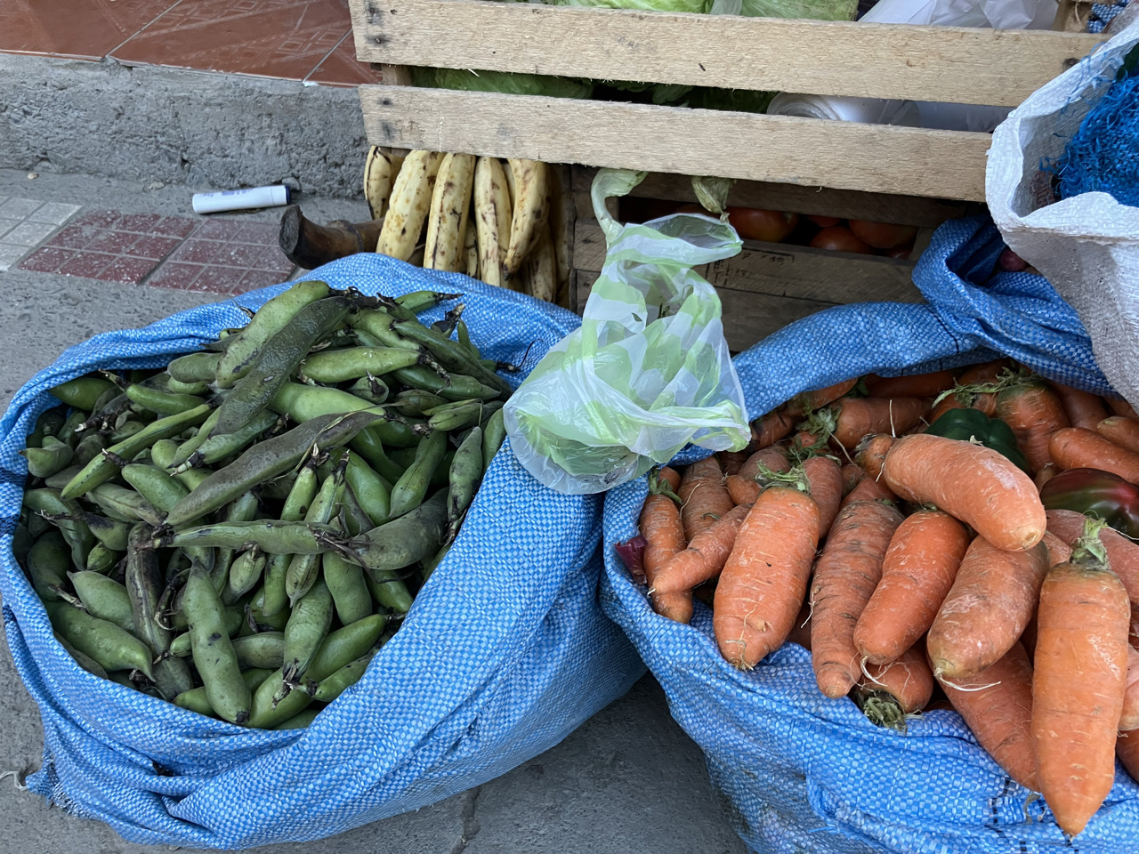 Carnets et photos de voyage Bolivie - Etape 16 sur les chemins de la coca : les fruits et légumes