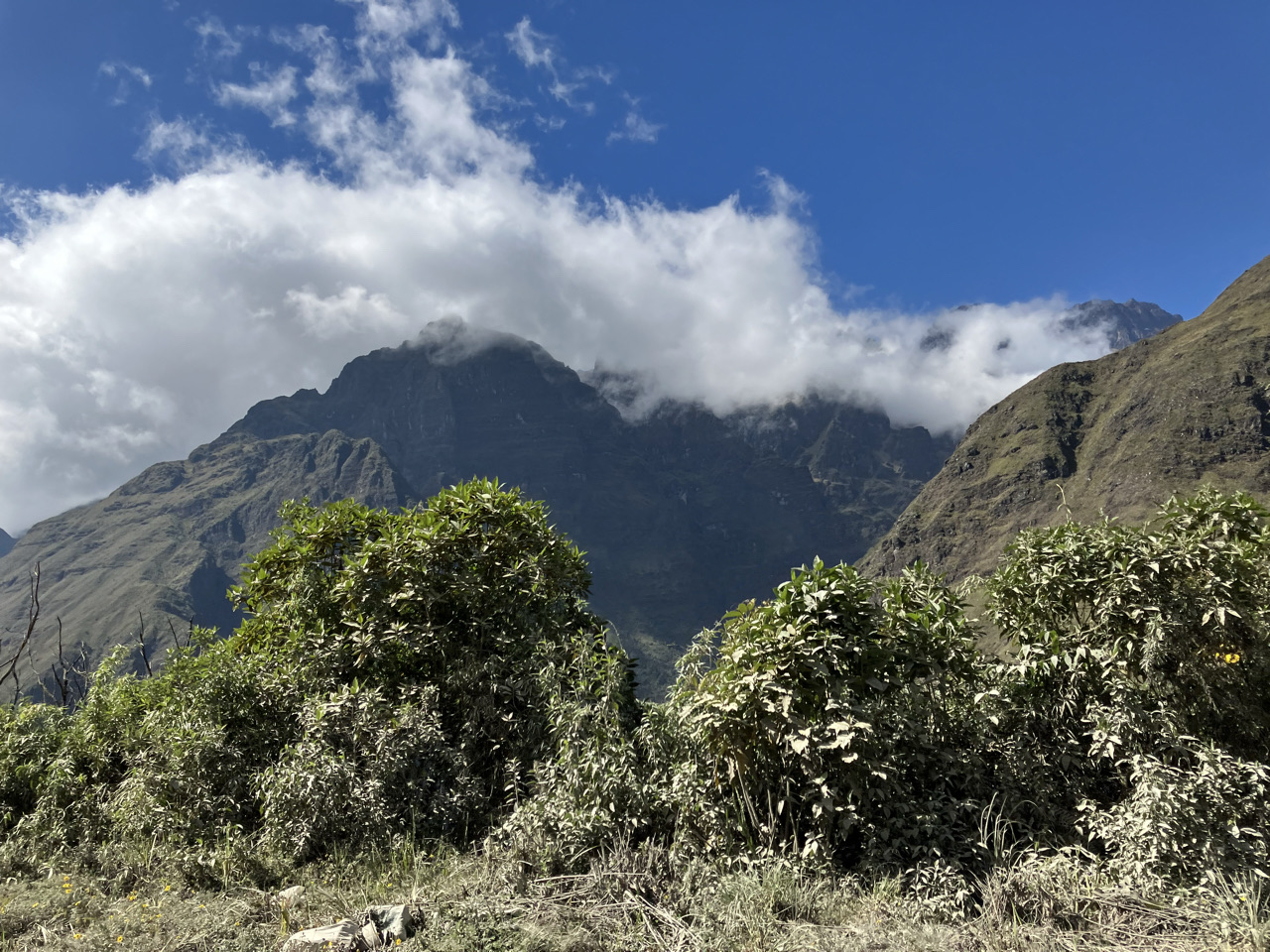 Carnets et photos de voyage bolivie - étape 16 - Tuni Coripata