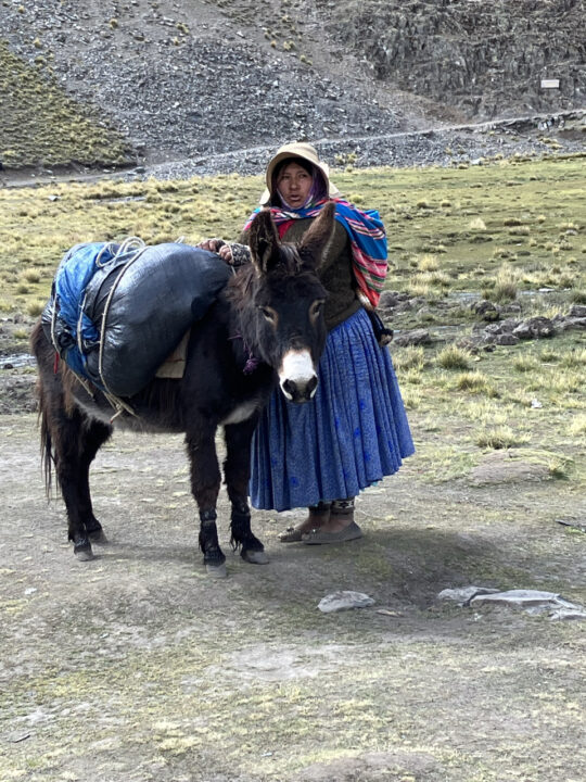 Carnets et photos de voyage Bolivie - Etape 15 ascension pico Austria