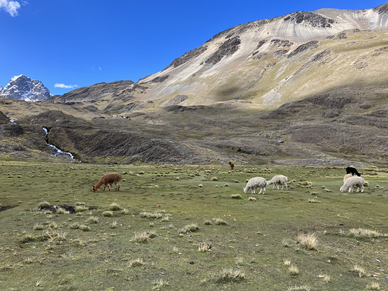 Carnets et photos de voyage Bolivie - Etape 15 ascension pico Austria