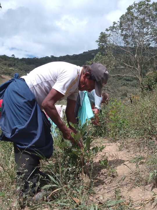 Carnets et photos de voyage Bolivie - Etape 18 : avec les cultivateurs de la coca