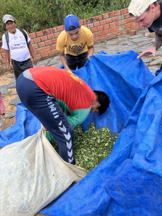 Carnets et photos de voyage Bolivie - Etape 18 : avec les cultivateurs de la coca