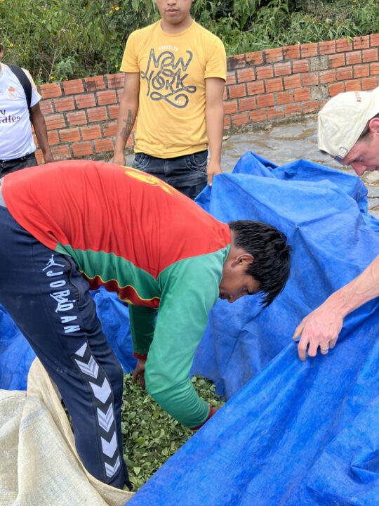 Carnets et photos de voyage Bolivie - Etape 18 : avec les cultivateurs de la coca