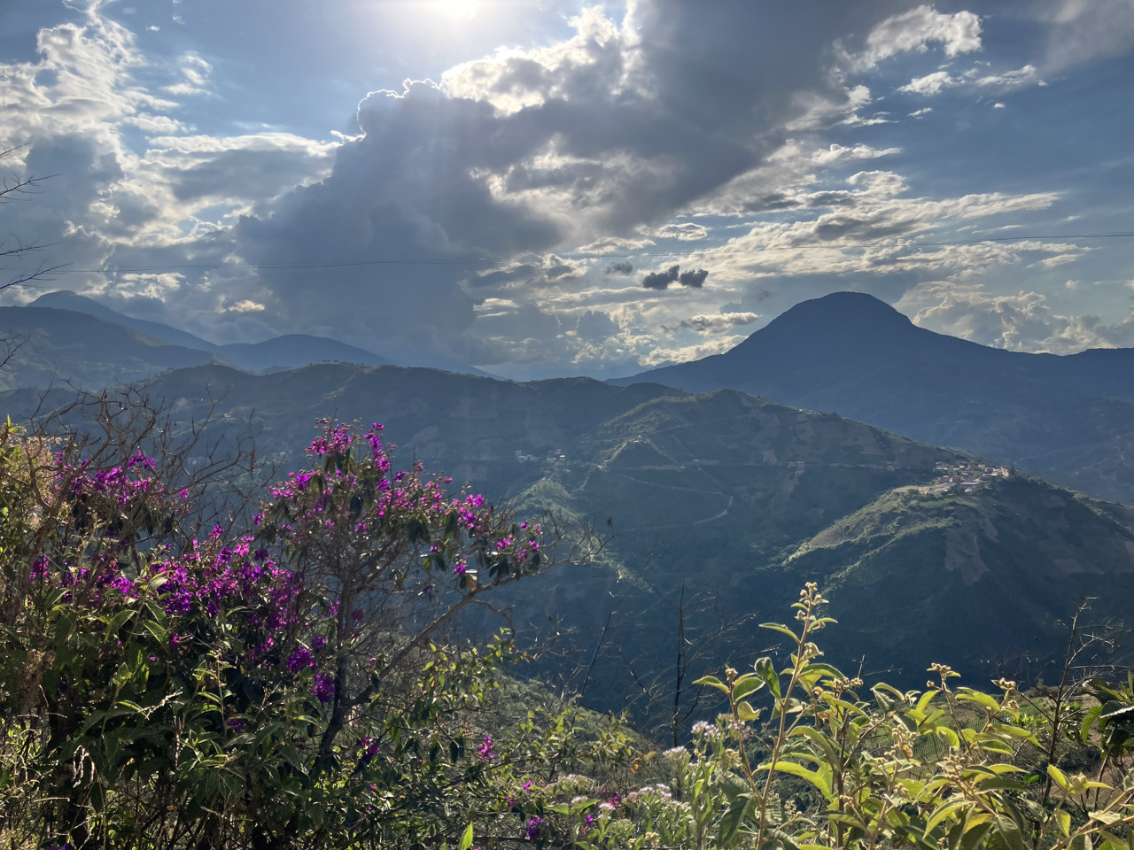 Carnets et photos de voyage Bolivie - Etape 18 : avec les cultivateurs de la coca