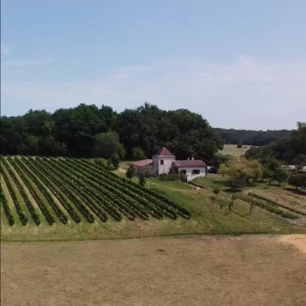 Carnets et photos de voyage Bergerac - les vins du chéteau de Saints Amants