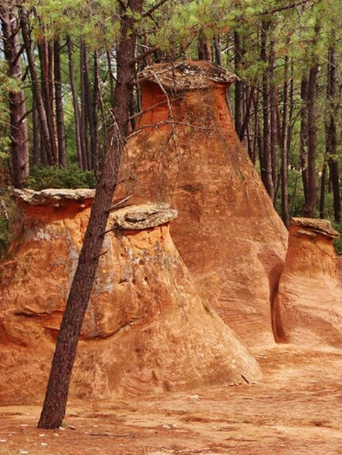 Carnets et photos de voyage france - escapade au pieds du mont ventoux : les demoiselles coiffées de Bédouin