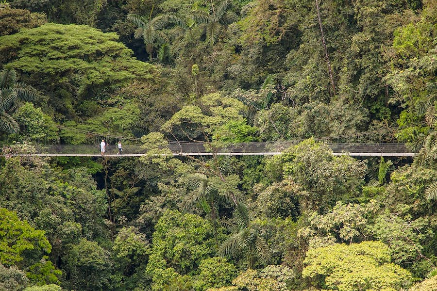 carnets et photos de voyage costa rica - la Fortuna : les ponts suspendus