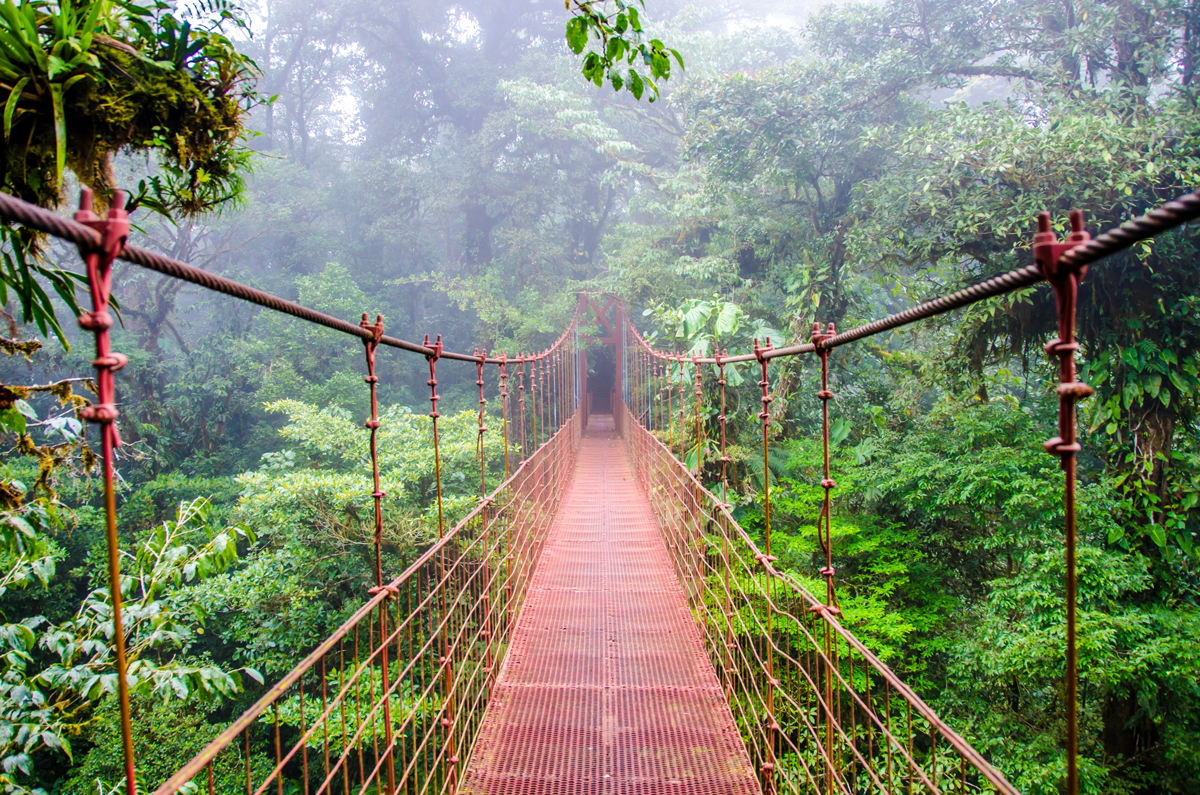 Carnets et photos de voyage costa rica - Santa Elena - Monteverde