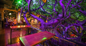 Carnets et photos de voyage Costa Rica - Santa Elena : restaurant Tree House