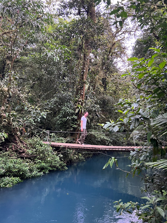 Carnets et photos de voyage Costa Rica - La faune et la flore