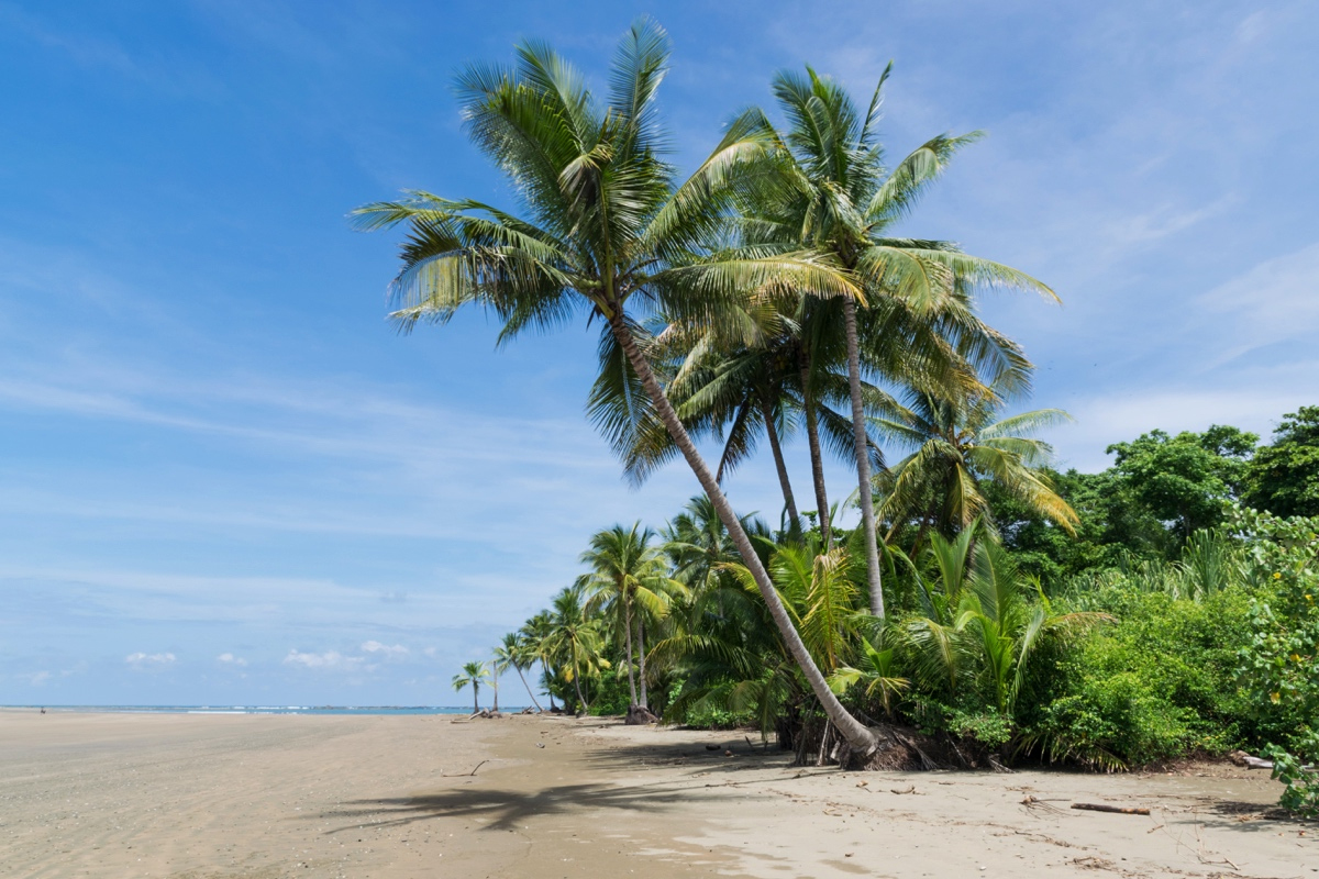 Carnets et photos de voyage Costa Rica - Santa Teresa : les plages