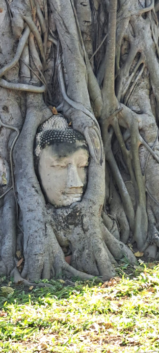 carnets et photos de voyage Thaïlande - Ayuttaya