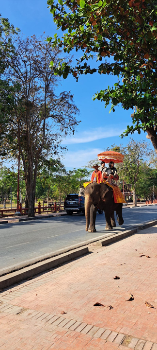 carnets et photos de voyage Thaïlande - Ayuttaya