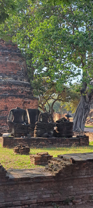 carnets et photos de voyage Thaïlande - Ayuttaya