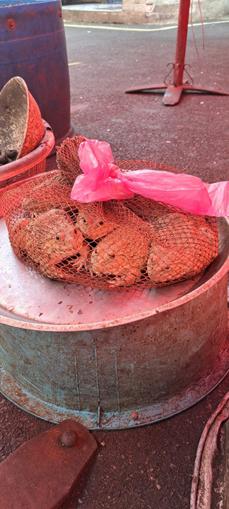 carnets et photos de voyage Thaïlande - Ayuttaya