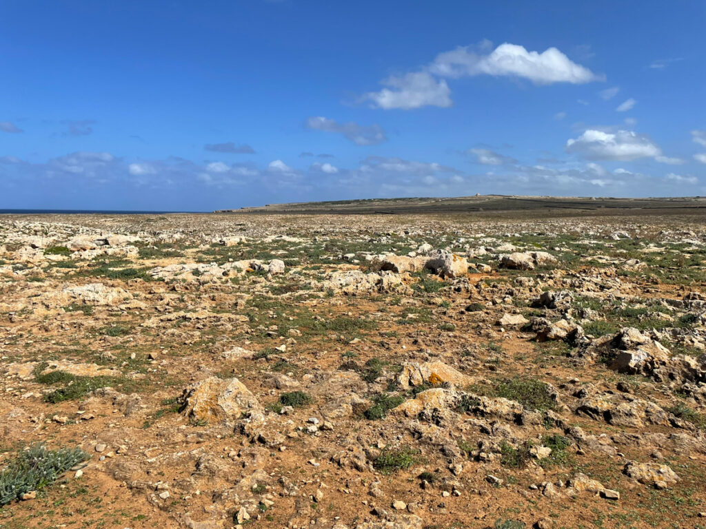 Carnets et photo de voyages - Minorque : paysages proche de Punta Nati Carnets et photo de voyages - Minorque : paysages proche de Punta Nati