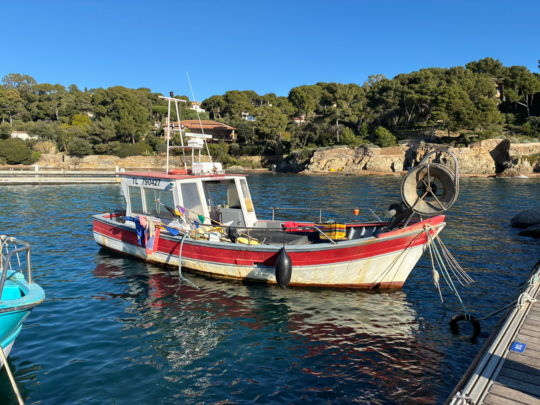 carnets et photos de voyage - escapade Hyeres et la presqu'ile de Gien : le port du Niel