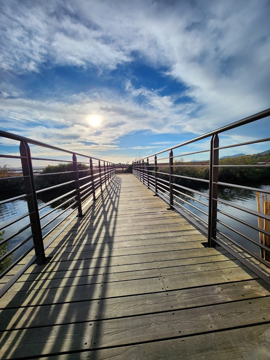 carnets et photos de voyage - escapade Hyeres et la presqu'ile de Gien : le pas du Saunier